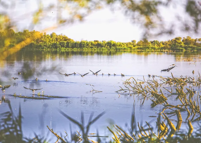 Park By Radisson & Hotel